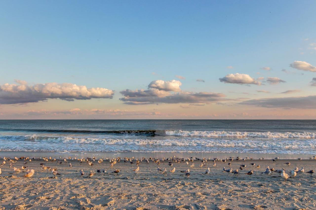 Hotel Sea Turtle Myrtle Beach Exterior foto
